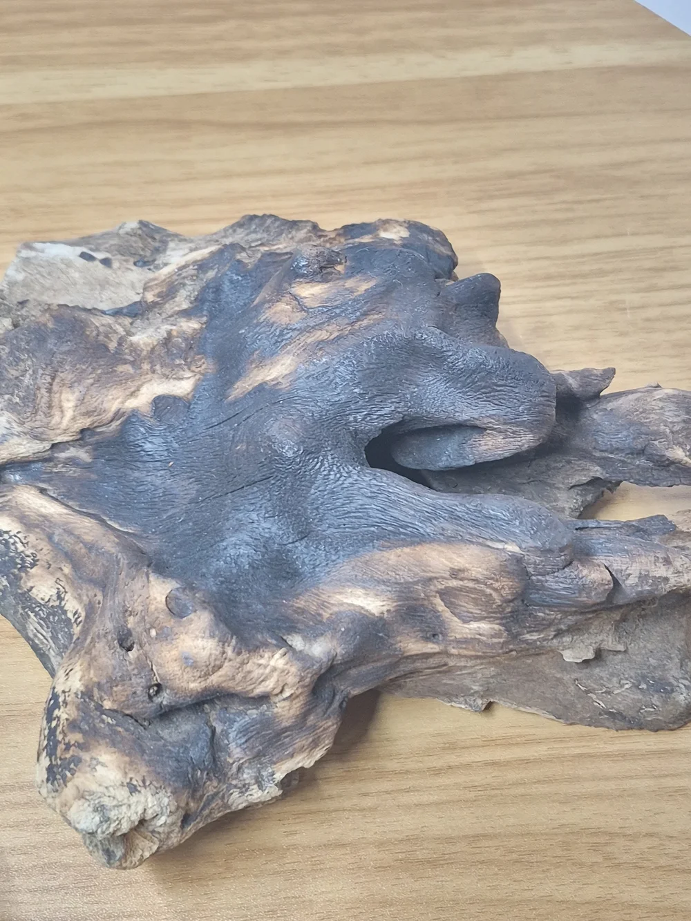 ​Molten Glass on Driftwood Vase Hand Blown Coastal Art Piece